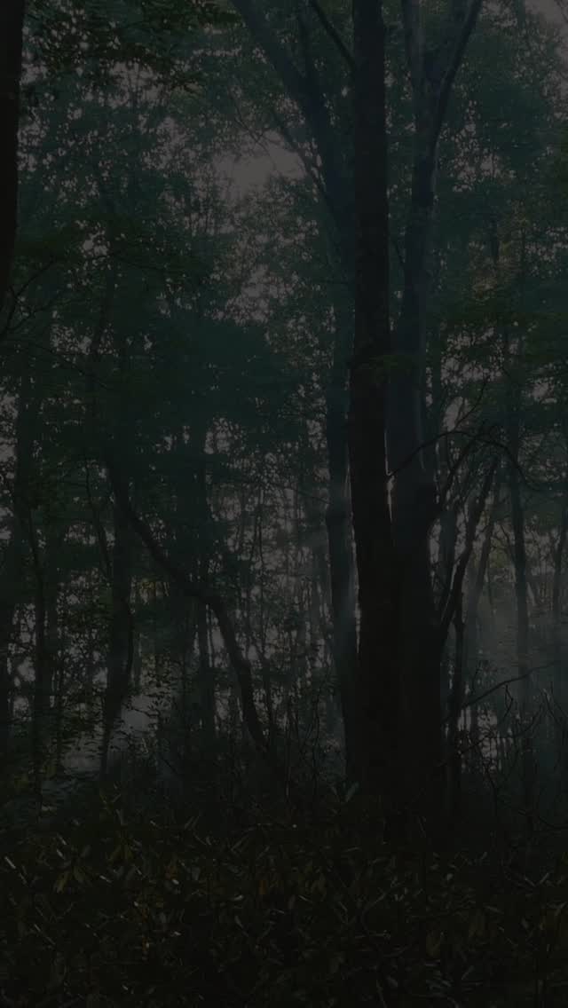 🎶 Listen to Viennese Echoes now!
Chamber music with historical instruments, performed by Duo Mayr–CelisCatalán.
From the poetic intimacy of Brahms’ Drei Lieder to the fiery brilliance of Lanza Giuliania’s Tarantella.
A journey through 19th-century Vienna—alive, vibrant, and timeless.
👇 Available on all streaming platforms
🔗 Link in bio
#VienneseEchoes #DuoMayrCelisCatalán #Brahms #Tarantella #HistoricalInstruments #ChamberMusic #NewRelease #ClassicalGuitar #GuitarAndVoice #RomanticMusic #SpotifyClassical #AppleMusic #cello #classicalmusic