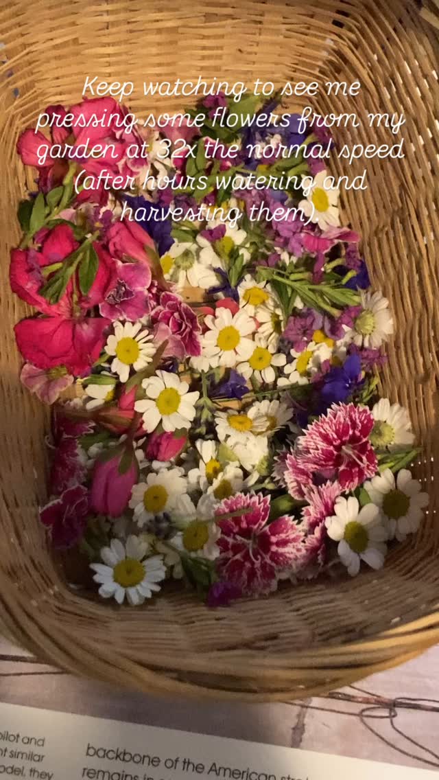 Gardening season is in full swing at my house! Some new flowers have been added to the flower garden this year, we’re always waiting to see which ones survive our winters up here. We live in Northern California where we get several feet of snow piled up for months at a time during the winter. The last snow just melted in May. This is me pressing some flowers that I harvested from my garden today at 32 times the normal speed that it takes me in real life.