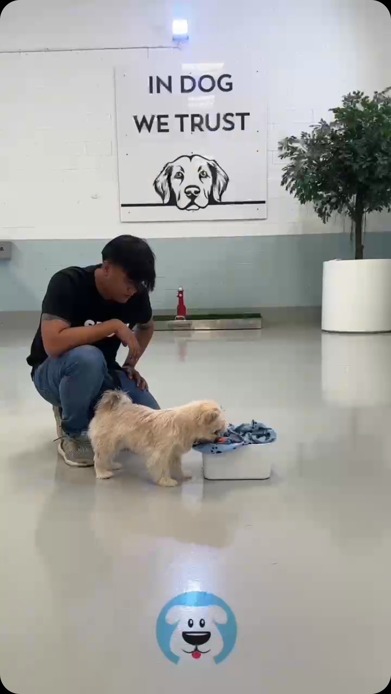 What’s beautiful about a boutique daycare? We get the time and space to put the emphasis on “care”. Individual care plans, individual attention and everything centered around YOU!
Sure we could overcrowd the space, as most do, but that’s just not our ethos, that’s not SPOT!
Mondays at SPOT! be like…🩵
.
.
#dubaidogs #dogsindubai #dubai #mydubai #dogs #nyc #hellofromspot #boarding #grooming #welovedogs #dogsofdubai #dubaidog #doggieboarding #doggiedaycare #doggieboarding #dogdaycare #dogdays #uaedogs #dxbdogs #everydayawesome #adoptdontshop #pethealth #petnutrition #happypup #dog