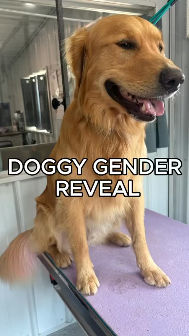 Now this is a gender reveal trend we can get behind 🥹💕💙