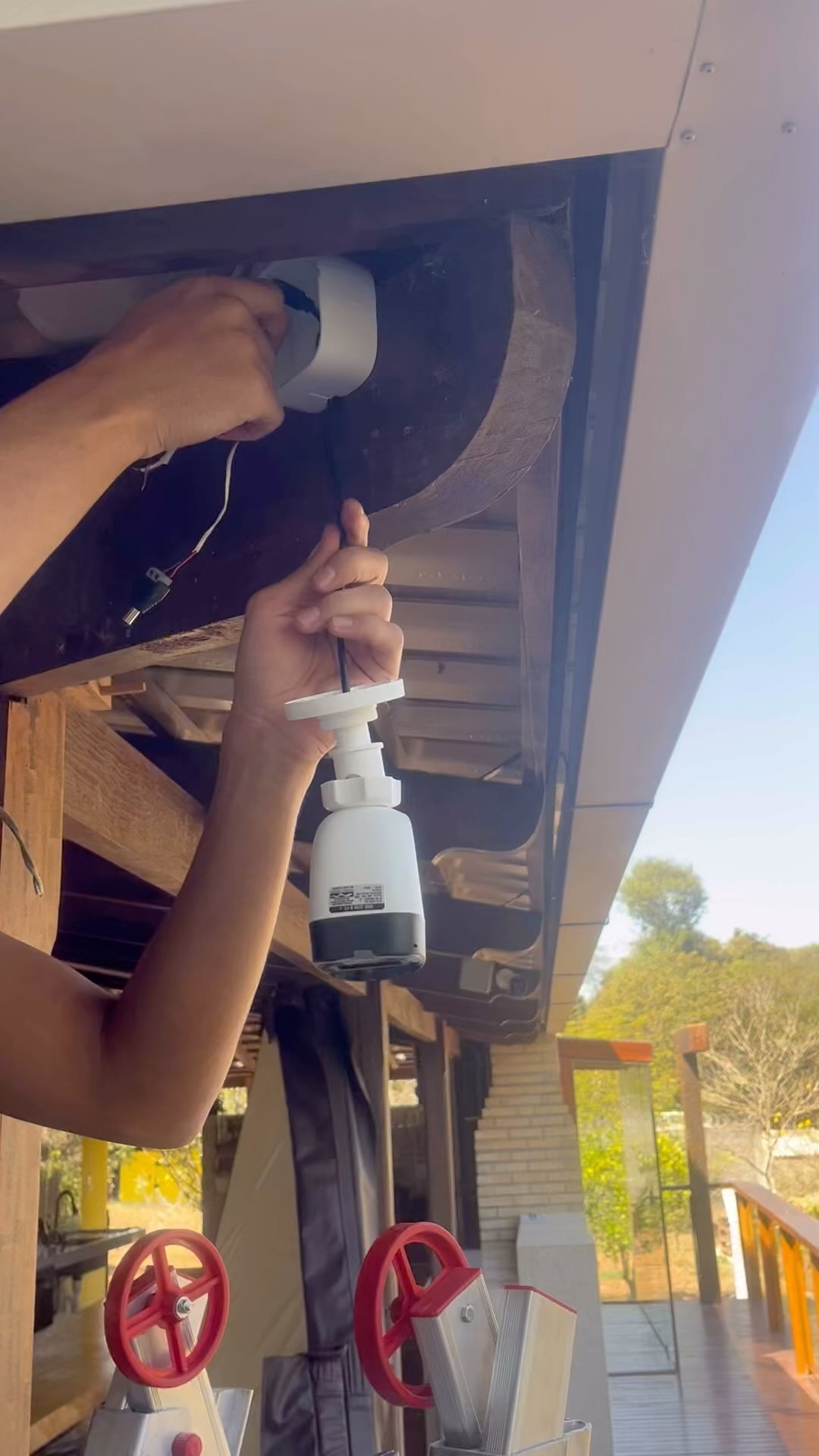 Agradeço sempre a Deus por tudo!🙏🏽🙏🏽🙏🏽#deus #deusnocomando #bencao #nossasenhoraaparecida