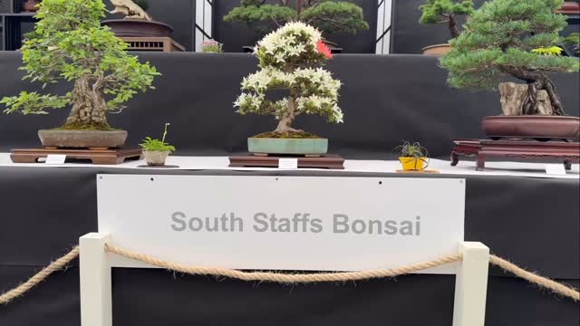 Our Display at the @bbcgwlive