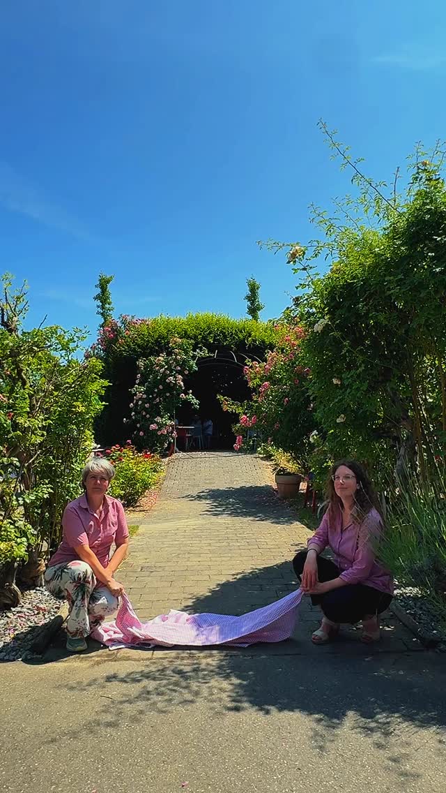 Zauberei im Rosengarten?
Wenn wir zaubern könnten …
… würden wir euch jeden Morgen so ein Frühstück zaubern.
Aber das passiert’s bei uns wirklich:
Ein zauberhaft gedeckter Tisch, frischer Kaffee, leckere Kuchen und Frühstück im schönsten Rosengarten weit und breit.
Und gerade jetzt – blühen die Rosen wie verrückt.
Den Duft? Können wir euch durchs Video leider nicht schicken. Aber er ist da. Und er ist herrlich.
Kommt am Wochenende vorbei, genießt den Moment –
wir kümmern uns um den Rest.
Euer Markthalle Wassmer Team
#frühstück #markthallewassmer #rosengarten