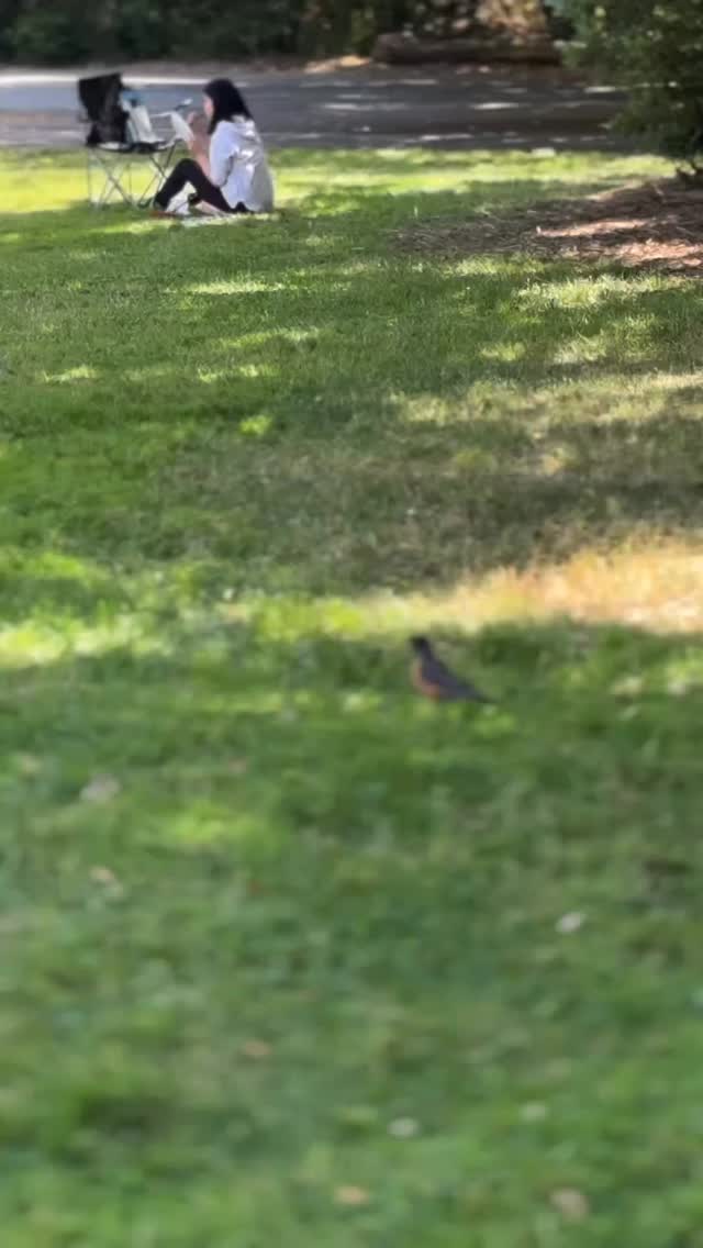 Fun day in the park #ardenwoodhistoricfarm #acrylicpainting #loveart #art #artstudent