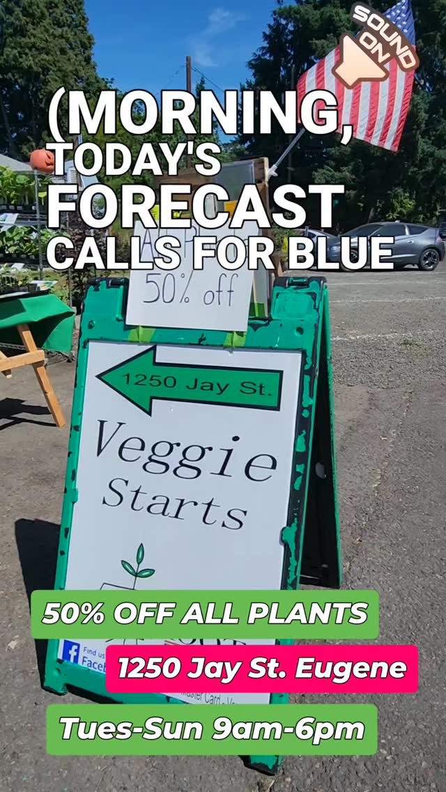 50% OFF ALL PLANTS until they are all gone. 150 different plants still available with hundreds of back stock. Surprise dad with a unique pepper or 200lb pumpkin!