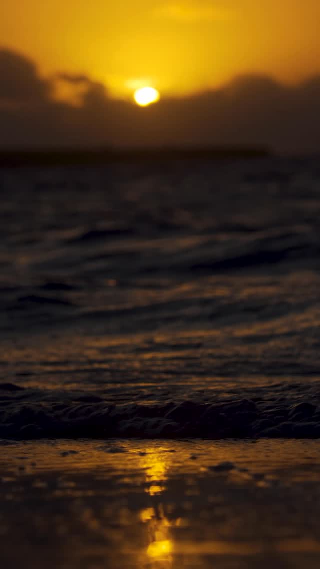 Madagascar trip off to a great start with this beautiful sunrise session.
Awesome video by @bagarov