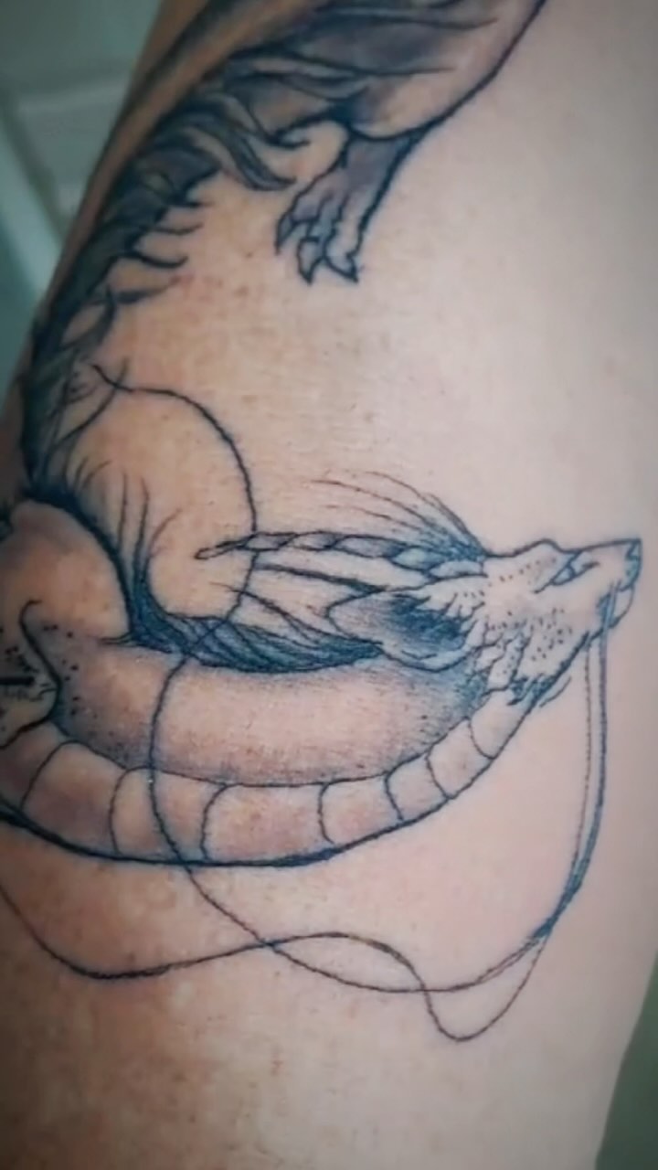 Milo did this awesome dragon for Francois 🐉 thanks for the support & trusting us with your skin Francois 👊🏽
To book your spot pop us a DM or WhatsApp message.
#mrluckystattoo #capetowntattoo #capetowntattooartist #capetowntattoostudio #capetowntourism #tattoossofinstagram #inkstagram #tattooideas #tattoolove