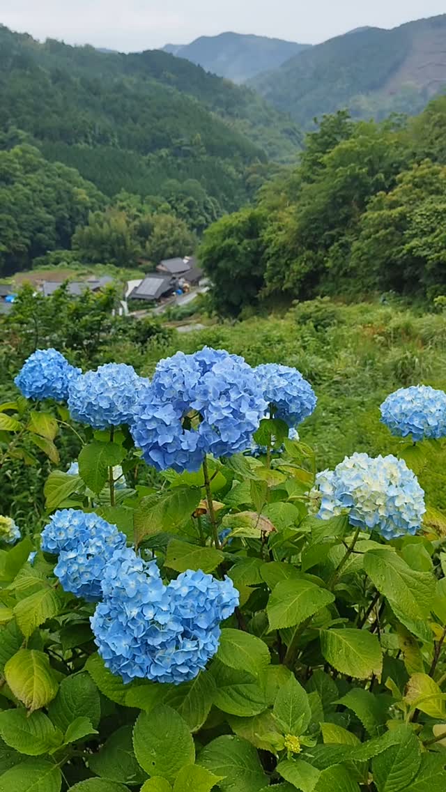 rainy season in a mountain village