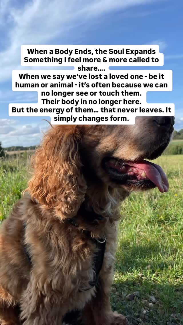 ✨I’ve come to understand that death is not an ending, but a shift. A return to a wider, freer expression of being. They become expansive - no longer bound by the physical, but deeply present in a different way. Often, they send us signs to remind us of this. A song 🎶 playing at the perfect moment. A feather 🪶 or paw 🐾 print in an unexpected place. A dream 💭 that feels like a visit. A sudden warmth, a knowing, a whisper in your heart 💓 These are not imagined. They are messages - expressions of love from a soul that still walks beside you, just differently now. It’s time we talk more openly about these transitions. About how love doesn’t die. How we never truly lose those we love… they simply become more than we can grasp with our eyes. If you’ve ever felt a sign, a nudge, a presence - you’re not making it up. You’re remembering what your heart ❤️ already knows. With love Anna 💫💞 if you would like any support navigating someone human or animal transitioning in your life please do reach out 🙏🏻