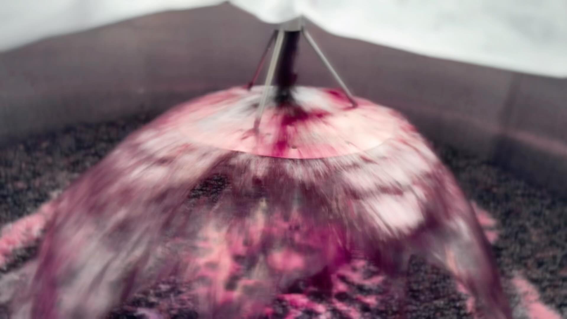 _Chercher l’instant du groove
エアレーション、酸素を含ませて元気にしたり、発酵の具合を均一化させたりしています。大きなタンクだとシャワーのように落ちる傘を取り付けています。発酵にはある程度酸素が必要だし、酸素を含ませすぎると酸化して味も風味も飛んじゃうし、たくさんの生きものたちの音楽が調和するギリギリを探していく作業の連続です。
Aeration, breathing life into the wine, balancing the fermentation. In large tanks, we attach umbrellas to let it fall like rain. Fermentation needs just enough oxygen, but too much will strip away the flavor, the soul. It's a delicate dance, searching for that perfect harmony, where the music of countless living beings plays on the edge of balance.
【莉蕾|ReLive vine】
岡山県高梁市でぶどう農家をしている @itsuki_ll が、ワインの風景を歩んでいく日々を記録。現在樹齢と研修一年目。蕾から美しい花が生まれるように、いつの日か、この日々が、ワインやその先の風景に繋がっていくようにという祈りを込めて「莉蕾(りらい)」と名付けた。
ReLive vine with @itsuki_ll documents the daily life of a grape farmer in Takahashi City, Okayama, Japan, as they walk alongside wine. Currently in the first year of both vine age and training, the hope is to one day create grapes and wines that evoke the memory of the landscape. With a prayer that this will eventually lead to an unrecognizable landscape, the endeavor was named "ReLive vine".
#ワイン #農家 #醸造 #ぶどう #農業 #自然 #秋田犬 #甲斐犬 #岡山 #日本の風景 #Wine #Winemaking #Grapes #Farming #Nature #Akita #KaiKen #JapaneseLandscape #Vin #Vinification #Raisin #Agriculture #ChienAkita #ChienKai