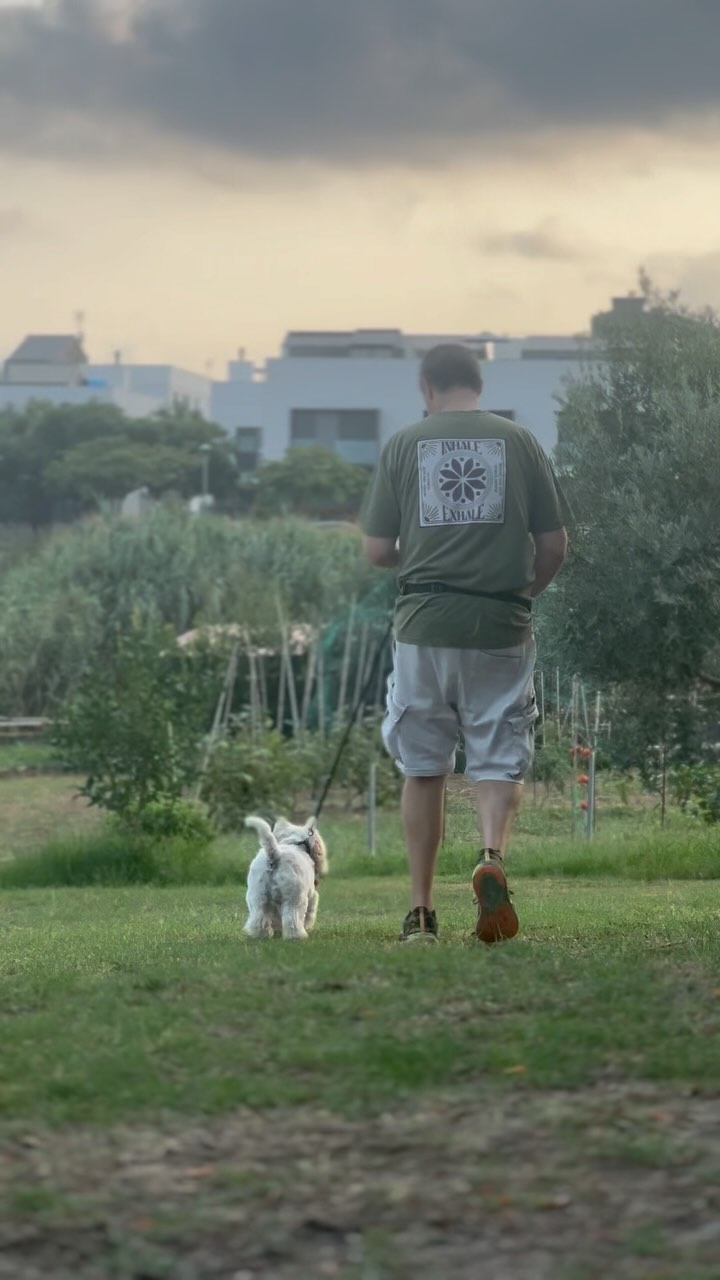 ¡Primera sesión con Bimbo!💛
Empezamos a entrenar algunos ejercicios de obediencia básica para, más adelante, trabajar su reactividad hacia otros perros.
¿No os parece adorable? 😇😈
#dogtraining #educacioncanina #adiestradordeperros #westy #westie #westhighlandwhiteterrier