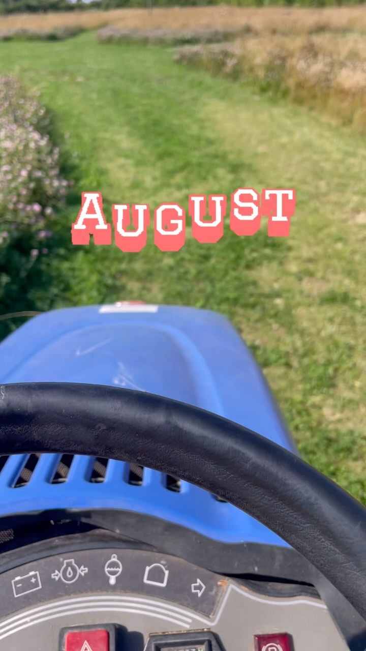August! Finally the weather brightened up, the campsite filled up and we even squeezed in a weekend off! Here are our highlights!
I know it’s been a minute since the end of August but I’ve never knowingly been on time in my life!