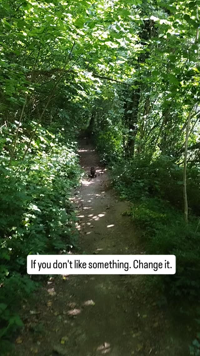 If you don't like something, change it.
Take back control of your life 💥💥
#subliminalmessages #retrainyourbrain #cognitiverewiring #positiveattractspositive #pma #takebackcontrolofyourlife #soundhealing