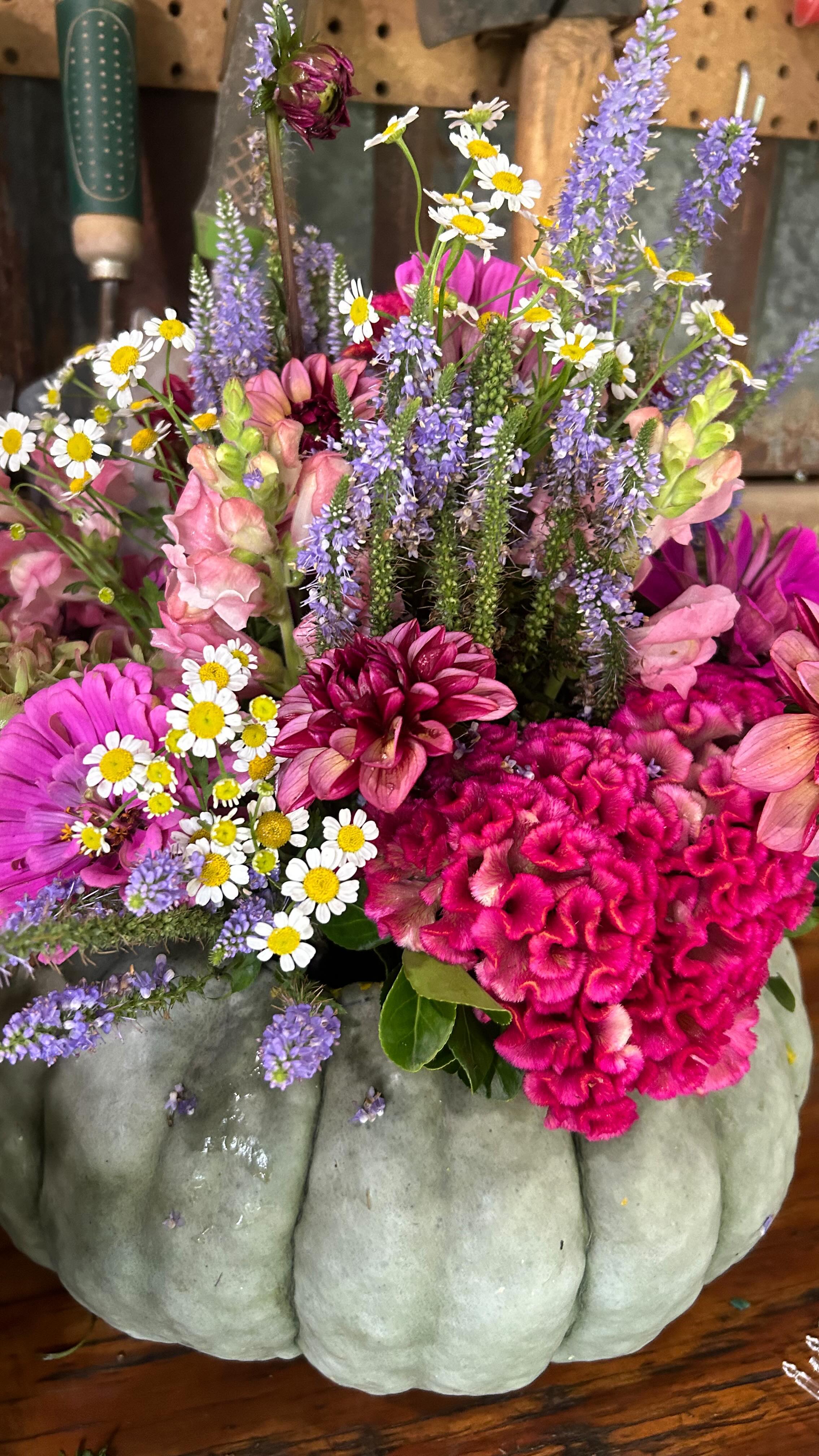 We’re trying something new this week for our farmers markets. We got a bunch of pumpkins this week and started filling them with flowers. We’ll have these in place of our bouquets this week at Old Town Alexandria (7am - 12pm) and Clarke County (8am - 12pm) tomorrow. Stop by and get yours and if we run out no worries, this is just our test run weekend with them. We’ll have them again for the next week or two! #walkingwindfarmandflorist #clarkevafarmmkt #berryvilleva #clarkecountyva #oldtownalexandria #oldtownalexandriafarmersmarket