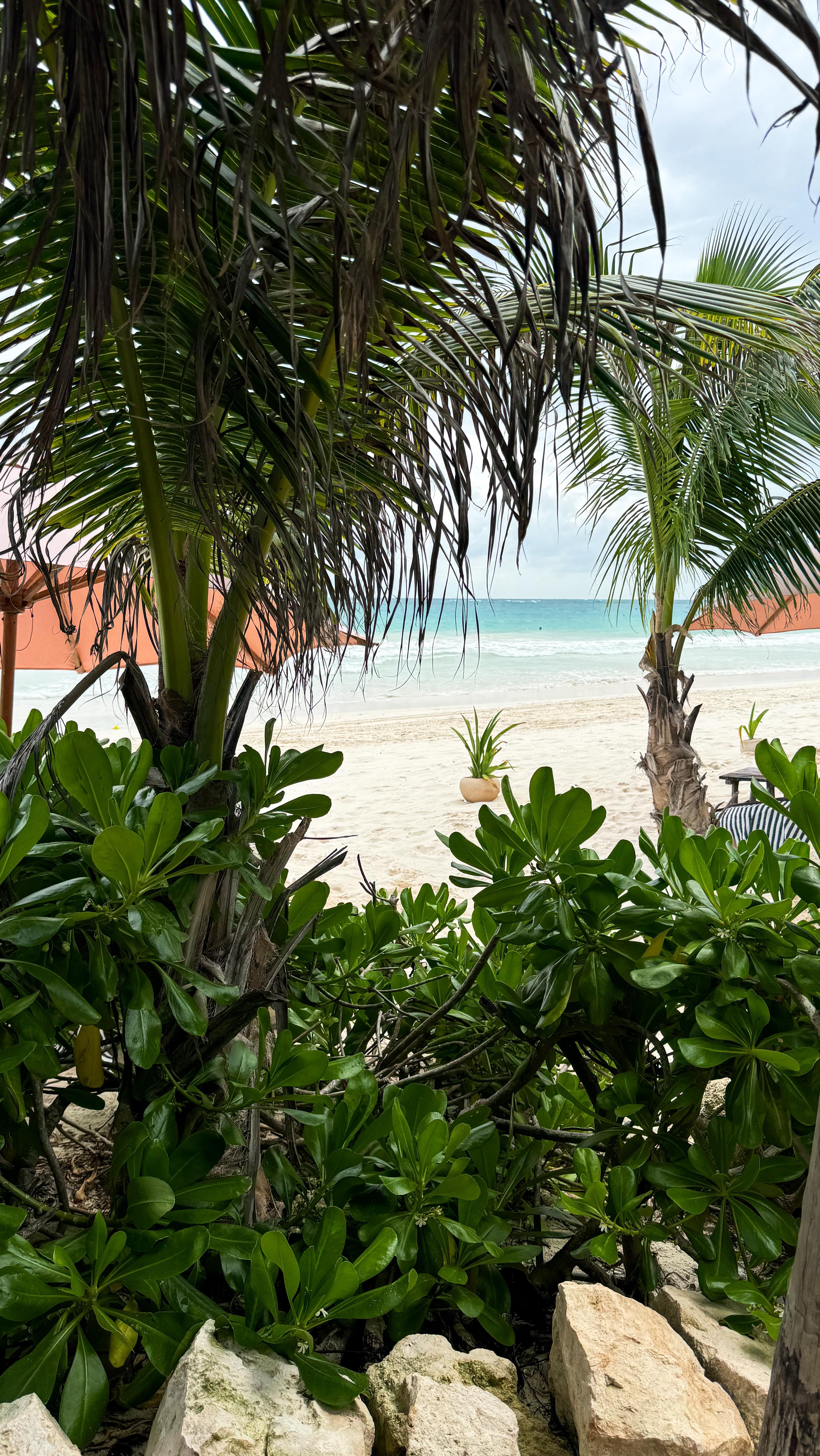 As someone who loves pouring into others I forget sometimes to carve out the time to take care of me and refill my cup to be able to pour into my children, my family, and to have the capacity to create as an artist. So if you are anything like me, here’s your reminder to take care of YOU!
#SelfCare #RefillYourCup #MomLife #TakeCareOfYou #BeachMassage #MomSelfCare #TimeForMe #CaribbeanVibes #PourIntoYou #RestAndRecharge #MindfulMotherhood #FamilyBalance