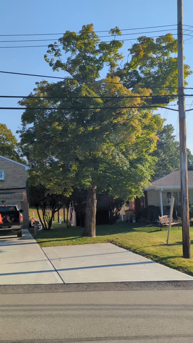 Maple tree removal, before and after. Pleasant Hills, PA #treeservice #treeremoval #treepruning #stumpgrinding #arboristsofinstagram