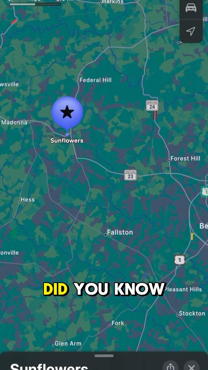 Did you know this beautiful sunflower field existed in Maryland. If you are looking for fall photo spots this is a great spot. Plus right next is the Jarrettsville Creamery where you can get some delicious ice cream while you are up there.
#sunflowerfield #localphotography #visitmaryland #jarrettsvillemd #baltimorerealestate #marylandrealtor #thingstodo #thingstodoinmaryland #fallphoto #datenightidea #harfordcounty #harfordcountymd #baltimorecounty #baltimorecountymd