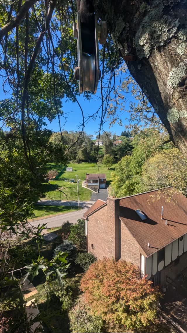 I hear you call my name and it feels like home #treelife🌳