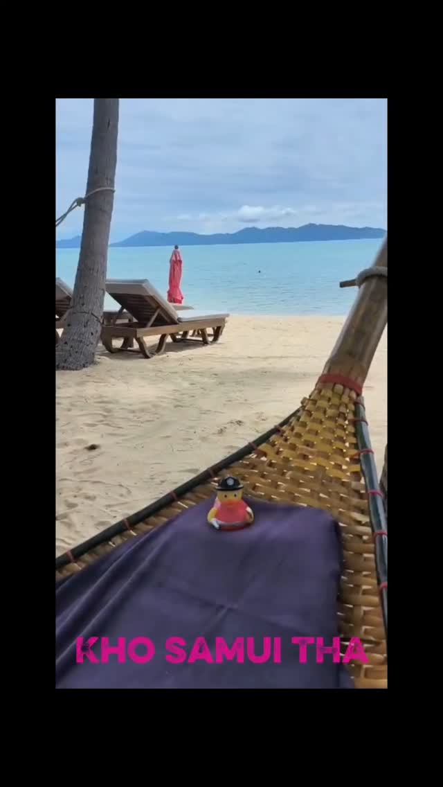 🦆 Die Feuerwehrenten aus der ganzen Welt begeben sich auf eine Reise.
🌏 Erfahrt bei uns, was es mit dieser Reise auf sich hat und von wo auf der Welt die Enten anreisen.
🇹🇭 Heute begibt sich eine Ente aus Thailand auf die Reise.
✏️ Wo endet die Reise? Schreibts in die Kommentare
#turbenthal #wila #wildberg #tösstal #blaulicht #118 #swissfirefighter #feuerwehr #ente #reisen #thailand🇹🇭 #kosamui #meer #sommer #hängematte #ferien #feste #feiern