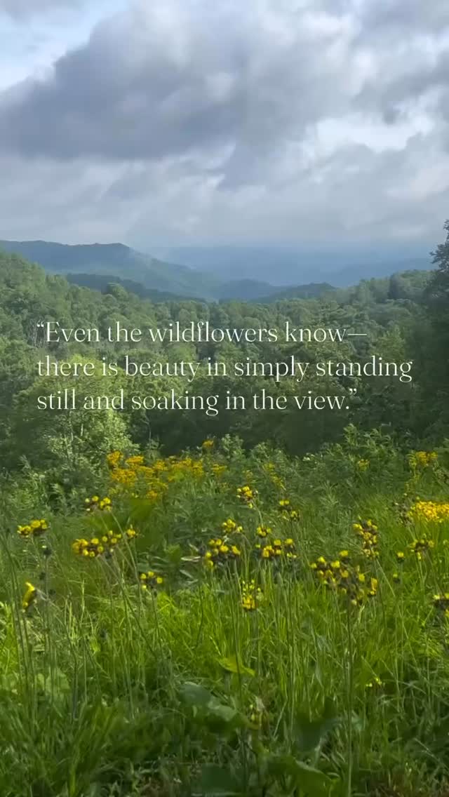 From @ncmountaintraveler
Did you know that the lovely North Carolina lountains are open and waiting for you to rediscover them? Come othe your soul with views and wildflowers. Jen ~ Your Local aring What She Loves In Western Carolina ~ #wildflower #views westerncarolina #northcarolinamountains #blueridgemountains olueridgemoments #nctravel #nctravels #travelnc #nctravels cvaca #ncvacation #mcvacay #ncdaytrips #ncdaytrip
northcarolinatravel #mytravels #myviews #mountainview /isitblueridge #visitnorthcarolina #visitnc #visitncmountains charlottenorthcarolina #raleighnorthcarolina #floridatravel coutdoors #ncmountains #ncroadtrip #wncmountains soonenorthcarolina