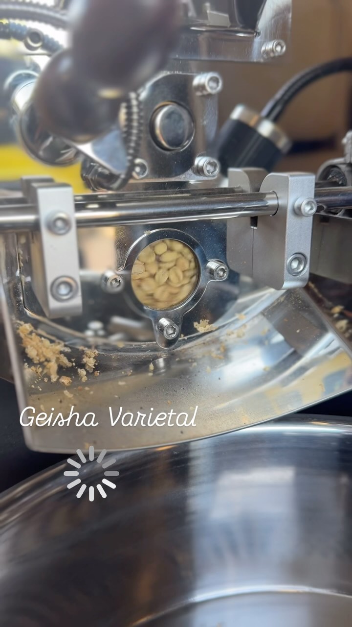 Panama Geisha specialty coffee is renowned for its complex, delicate, and vibrant flavor notes, often including jasmine, tropical fruits, berries, and citrus, with a tea-like body. Its unique taste sets it apart from other coffee varieties.
(Order-link in bio)
#naturalprocesscoffee or #washedprocesscoffee
.
.
.
#panamaspecialtycoffee
#TexasFallFlavors
#PanamaCoffeeVibes
#CozyInTexas
#FallBrewTX
#SipIntoFall
#PanamaInEveryCup
#WarmUpWithPanama
#AutumnCoffeeCravings
#TexasCoffeeLovers
#HarvestBrewTex