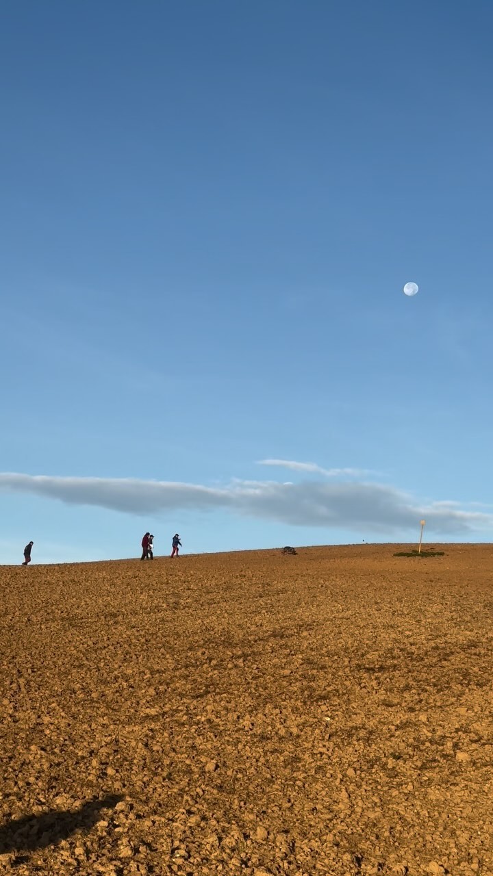 Os traemos un resumen de este fin de semana en el Campeonato Regional de IGP.
Hoy junto a todo el equipo Cero 4 hemos ido a apoyar a Enrique.
Es un placer aprender de ti y de todo el equipo.
¡Felicidades por el resultado! 💛
Para quienes no lo sepan, las selectivas son pruebas clasificatorias donde los perros demuestran sus habilidades en rastreo, obediencia y protección que permiten a los mejores equipos (perro-guía) avanzar a campeonatos nacionales e internacionales.
¡Una pequeña muestra de todo el trabajo y pasión que implica este deporte! 💪
~
#igp #dogtraining #perrosdetrabajo #workingdog