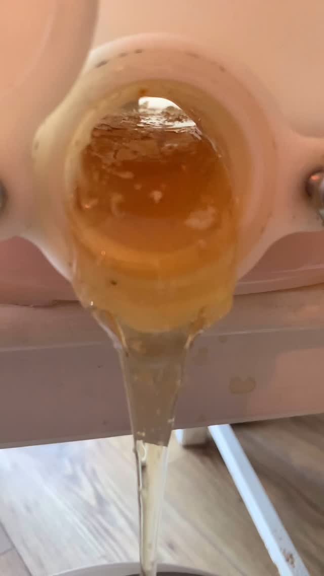 It’s that time of year again, Honey is flowing. Grab yours from the website now! #bees #honey #honeybees #beekeeper #bee #beekeeping #beekeepers #beesuk #bbka #flowing