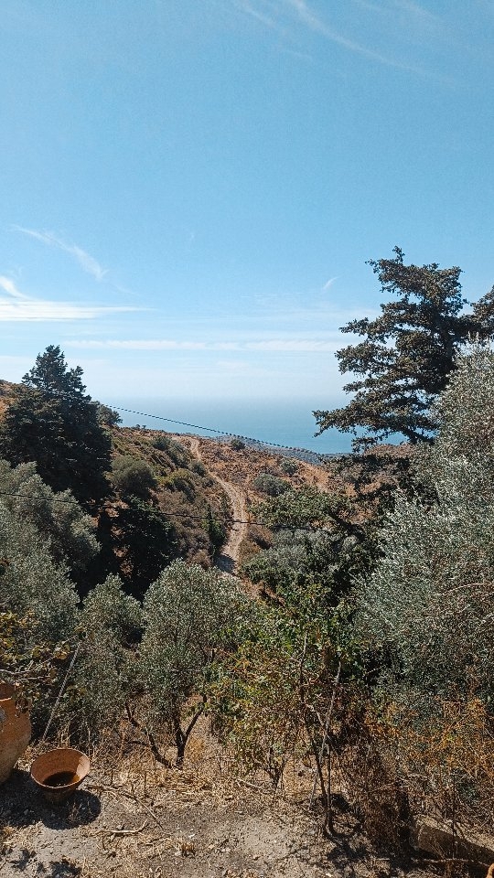 ✨🔻Read Caption🔻✨
•
Beyond fear lies freedom 🌊🧜♀️🔥
•
Diving deep this Trecena of Kame. 🦉
These 13 Days teach us to face all invisible shadows, fear and death in order to transform them and reach our full potential and purpose in Life.
•
What's your biggest fear?
•
•
Love, Mayu 🤎
•
•
📸: @hangoutwitheva
•
#freediving #meditation #relax #holdyourbreath #enjoylife #cavediving #waterbaby #weareallone #mayacosmovision #wearealltruth #ixcacao #soundhealing #medicinewoman #mayudelavida #letgooffear #creteisland #girlsthatfreedive