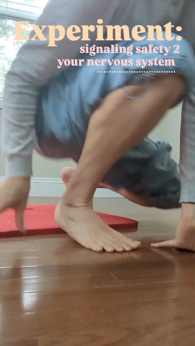When our nervous system is activated - we might notice it as fight/flight mode, irritability, racing thoughts, hyper-productivity - one way to help your body come down is to lay on your back with your feet in the air (viparita karani pose in yoga). It can send a signal of safety/ease to your nervous system. See how it lands for you?
#somatictherapy #polyvagaltheory #mindbody #traumasensitivemindfulness #traumasensitivemovement #nervoussystemregulation