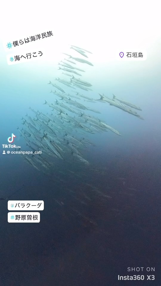 #パワースポット #生命力 #地球の息吹 #水中世界