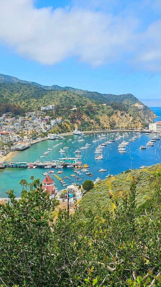 🌴Spain or Cali?! Heaven on Earth..
Book the trip! We were hesitant about visiting Santa Catalina Island in California...we ended up booking one full day and we wished we stayed for a few more!
‼️Why Santa Catalina Cali:
⛴️Short ferry ride (1 hour from southern LA)
🌴Beautiful Views
🌊Clear waters
🫶Quaint and friendly people
🦬Many activities: off roading, hiking, snorkeling, seeing wildlife including Buffalo, and more!
🚴♀️Get around by golf cart or bike
🍷Wineries (wine mixer end of May)
🍨Ice cream on every corner
🏤A nice escape & you feel like you're in Europe
🔍Visit Iconic Casino (not really a casino)
It is a hidden gem that is well worth it!
📩Feel free to DM for recs!
🍾Learn more about more travel destinations & tips> check out my blog/vlog
🛍Need packing help? I got you! Shop my real faves that I use. Ditch the checked bag. You can do the carry-on!
🥰I love exploring & telling stories through visuals. I've amped up my camera game >> check out my blog & then hit collab. I would love to tell your story from my POV.
#cali #catalinaisland #catalinaislandcalifornia #santacatalina #holiday #nomadlife #travelblog #remoteworking #california