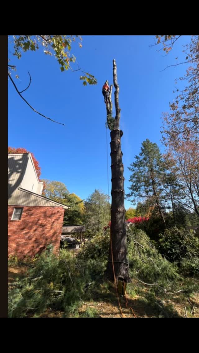 Nothing is ever going to be given to you. Everything is going to be earned. If you don't go out and put in the work and put in the effort. One, you are not going to get the results you want. Two, you don't deserve it.