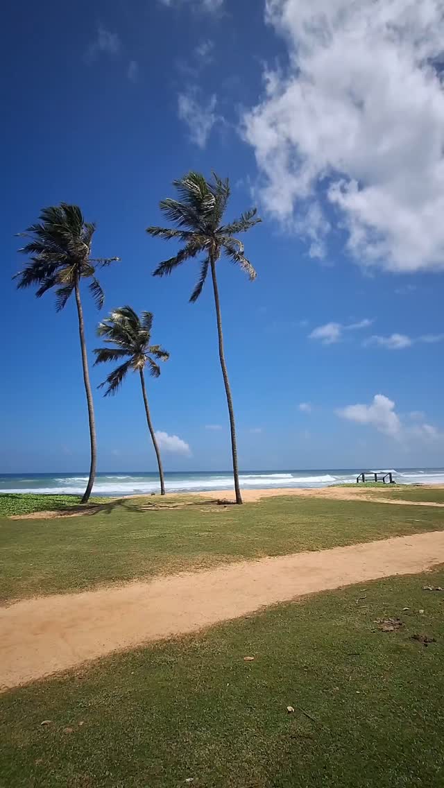 Sunny days. Quiet shores. Just you, the ocean, and a slower pace of life 🌴☀️
This is your summer hideaway on the south coast — peaceful, uncrowded, and just what you need.
Book direct with SUMMER15 for 15% off stays from July to September.
#LionsRest #gurubebila #SummerEscape #Ahangama #WeligamaSurf #surfsouthsrilanka #SriLankaBeaches #familysurf