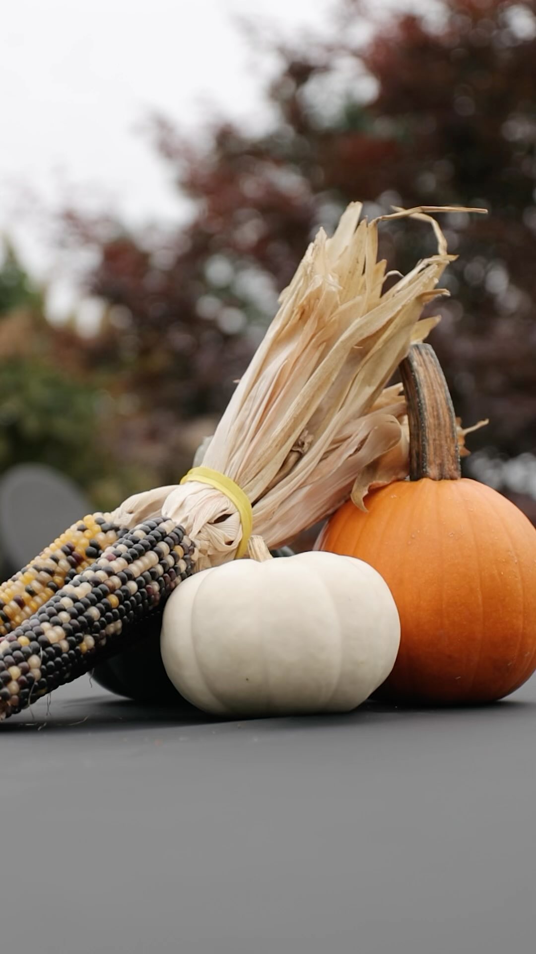 Had a nice fall evening relaxing with our hardworking team!
#family #workfam #community #food #companyculture