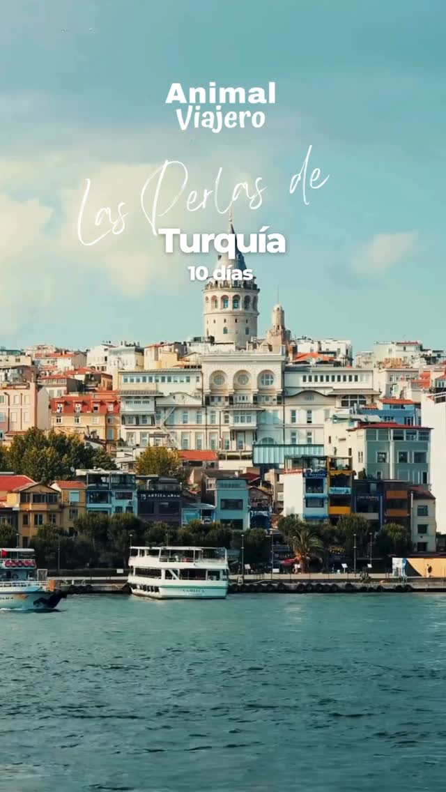 Viaja a Turquía 🇹🇷
10 días - ocupación doble
Embárcate en un viaje con paisajes únicos, historia milenaria y experiencias culturales inolvidables.
✔️Incluye: vuelos ✈️ + desayunos y algunas comidas+ Alojamiento + transporte privado y compartido + guías especializadas + Algunas entradas.
#AnimalViajero #Turquia #agenciadeviajes #travel #viajes #viajerosporelmundo #travelblogger #viajesaturquia #agenciadeviajescmdx #turquie🇹🇷 #turquiaturismo