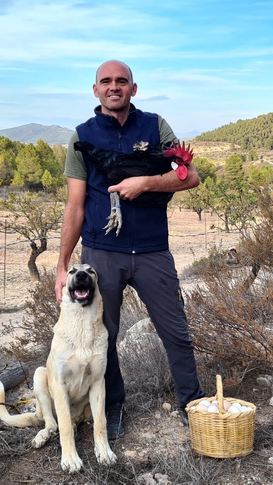 !Hoy necesitamos vuestra ayuda! 😊🥚🐔
Optamos a un premio de emprendimiento rural con nuestro proyecto de recuperación de gallinas en peligro de extinción 100% raza y la recuperación del sabor de los huevos de siempre. Cuantos más "me gusta" tengamos en esta publicación, más puntos conseguimos y nuestro proyecto llegará a más gente.
Dale a "me gusta" a este vídeo, comparte en tu perfil, comenta... todo eso nos ayuda mucho. El 9 de Octubre se sabrán las puntuaciones.
¡Ayúdanos a qué nuestro proyecto llegue a más gente y se conozcan estas razas y muchas otras que hay por todo el país!
Muchas gracias a todos los que nos seguís y nos apoyáis, sin vosotros nada de esto hubiese sido posible.
Gracias a @integral.es @caixabank por fijaros en nuestro proyecto. @ayuntamientobullas
#CaixaBankAcciónSocial
#CABKAcciónSocial
#TierradeOportunidades
#RuralTalent
#gallinamurciana
#gallinacastellananegra
#emprendimientorural
#razasautoctonas
#murciarural