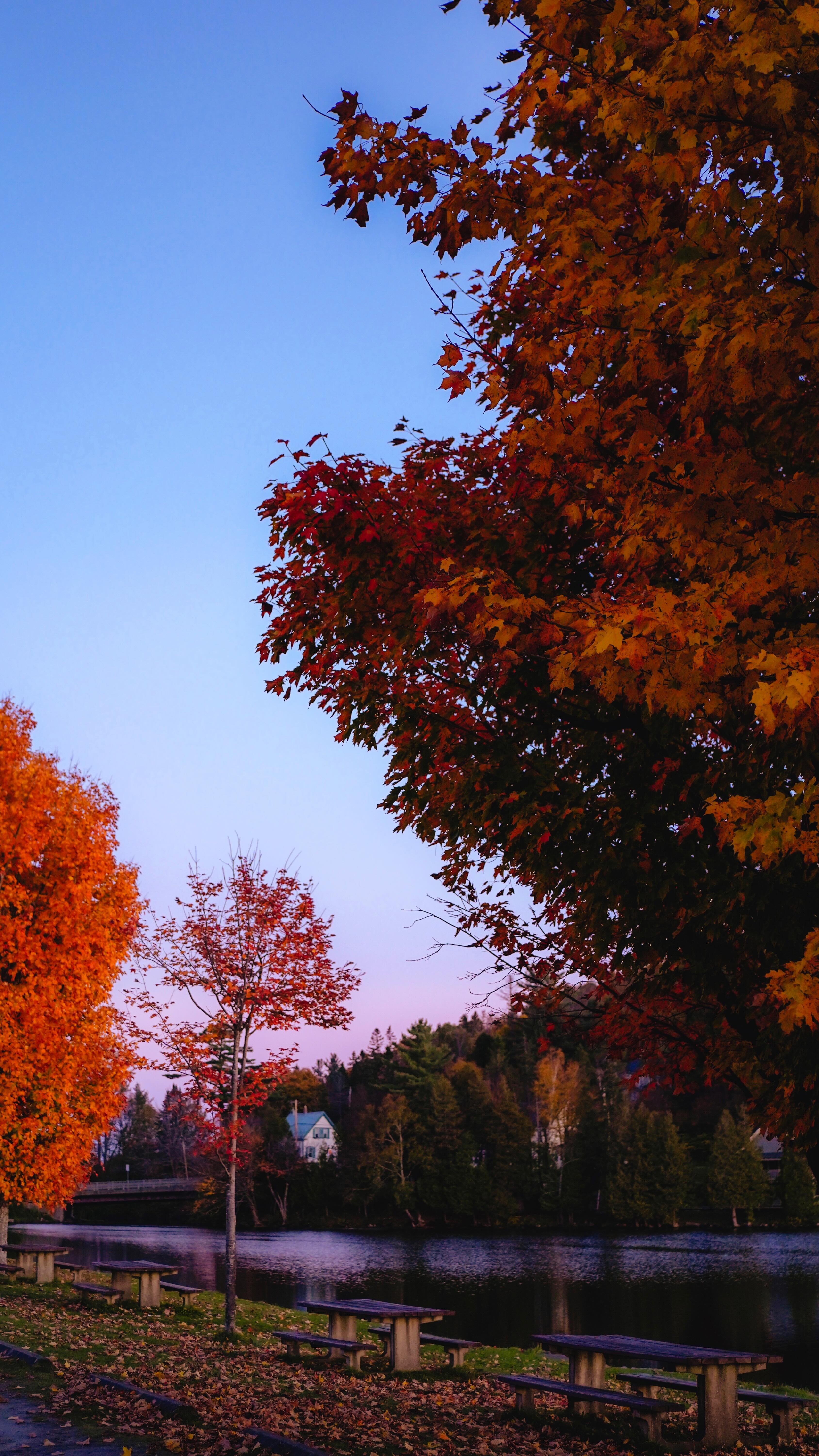 POV it’s purple hour in Vermont in October 🌙
#vermont #fall #lakehouse #travel
