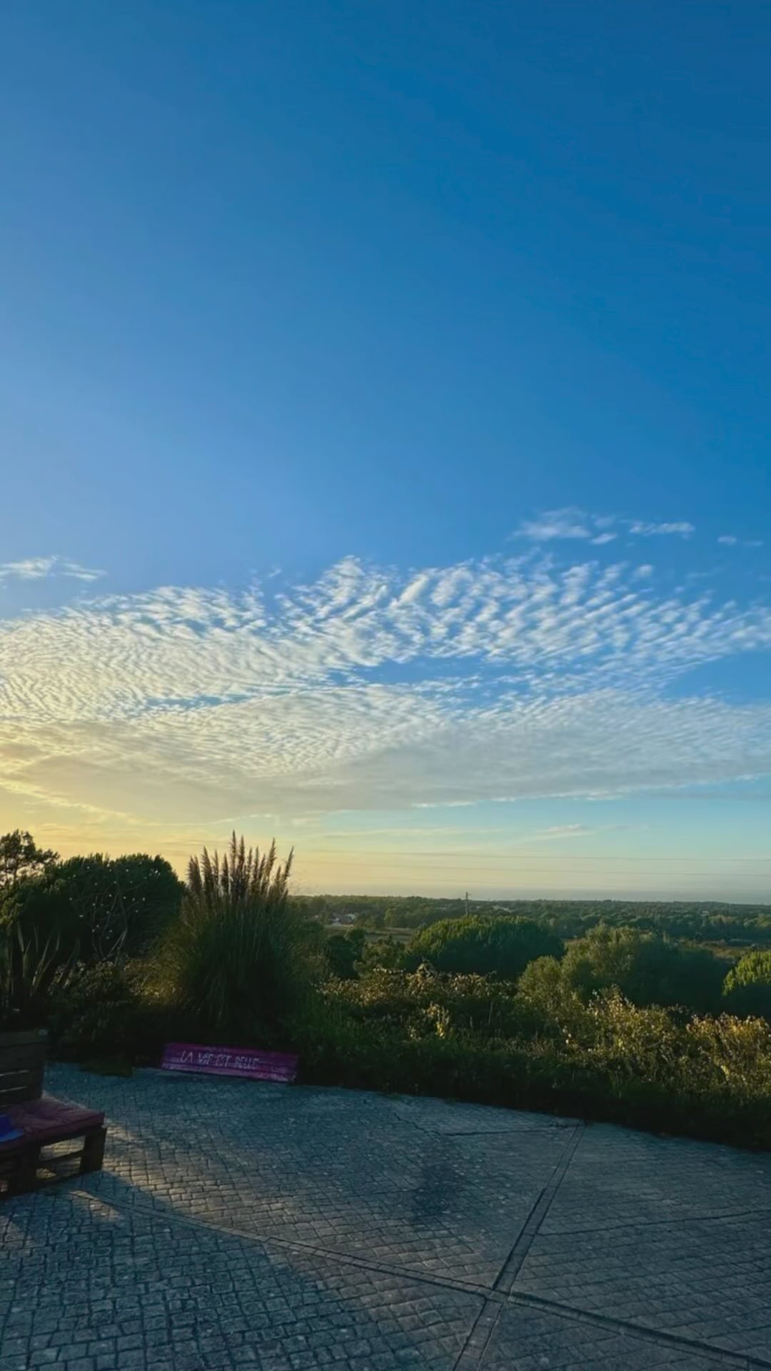 Mayamoon Retreat - Healing is not a one size fits all. It’s a deeply personal journey.
It was such an honour to have been a part of this particular journey, October Mayamoon 🍃 brought the winds of change.
#retreat #healthyfood #healingjourney #growth #connection #change #fearless