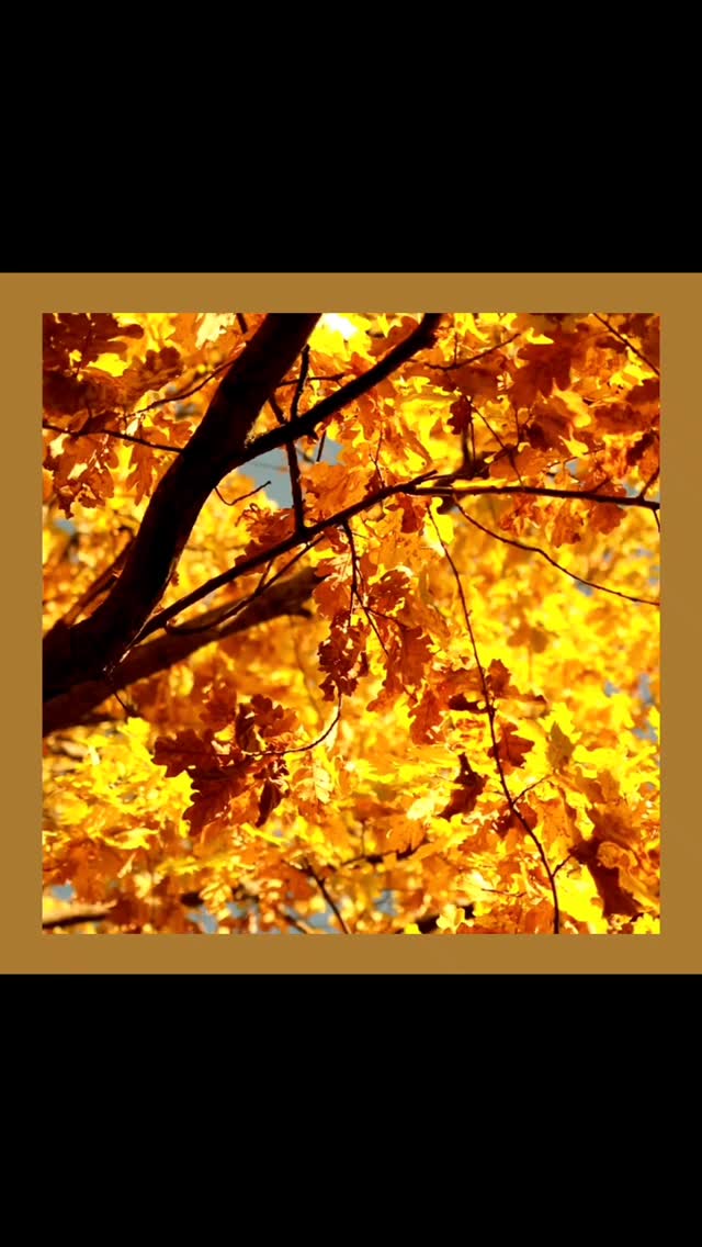 🍂🍁🍂Hoera! Herfst is hier!🍂🍁🍂
🍄 Boek nu een overnachting tussen 21 september en 18 december en geniet deze #herfst van 15% korting op de nachtprijs van een van onze appartementen.
🍄 Verblijf je een heel weekend dan komt daar nog een 15% korting bij.
🍄 En verblijf je een midweek, dan ontvang je een extra korting van 20%
🍂🍁🍂Hurray! Fall is here!🍂🍁🍂
🍄 Book now between September 21 and December 18 and enjoy this #fall with a 15% discount on the nightly rate of one of our apartments.
🍄 If you stay for a whole weekend, you will receive an additional 15% discount.
🍄 And if you stay for a midweek, you will receive an additional 20% discount
#sintpietersvoeren #vakantiehuisvoeren #beautifulview #wandelparadijs #naturelover #natuur #voeren #limburg #voerstreek #wandelen #hardlopen #fietsen #millefleurs #vakantiehuis #vacation #rentapartment #vakantieverblijf #vlaanderenvakantieland #ilovelimburg #altijdlimburg #belgium #netherlands #visitlimburg #wanderlust #bronnenwandeling