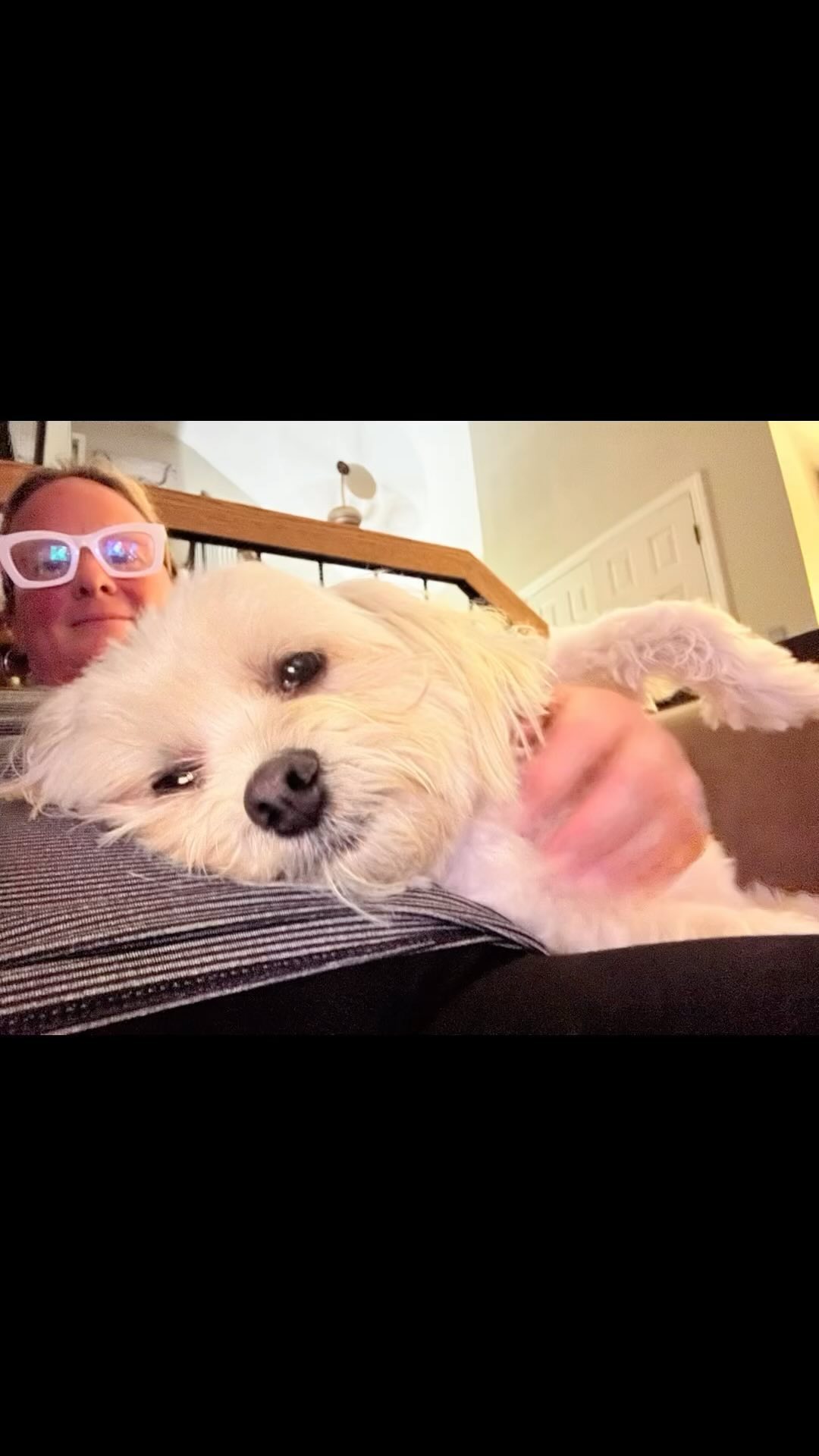 Just a few of lately 🐶😊 #dogwalking #dogsofinstagram #dogwalker #doglover #dogstagram #petsitting #dogwalk #dogoftheday #doglovers #doglife #petsitter #instadog #doggydaycare #dogwalkerlife #fyp #dogwalkersofinstagram #dogboarding #dogwalkers #longislanddogs #dogsoflongisland #huntingtonny #greenlawnny #lidogs #thedogist #HGLfamily #petsittingservices
#thedogsoflongisland #longislanddogsofinstagram