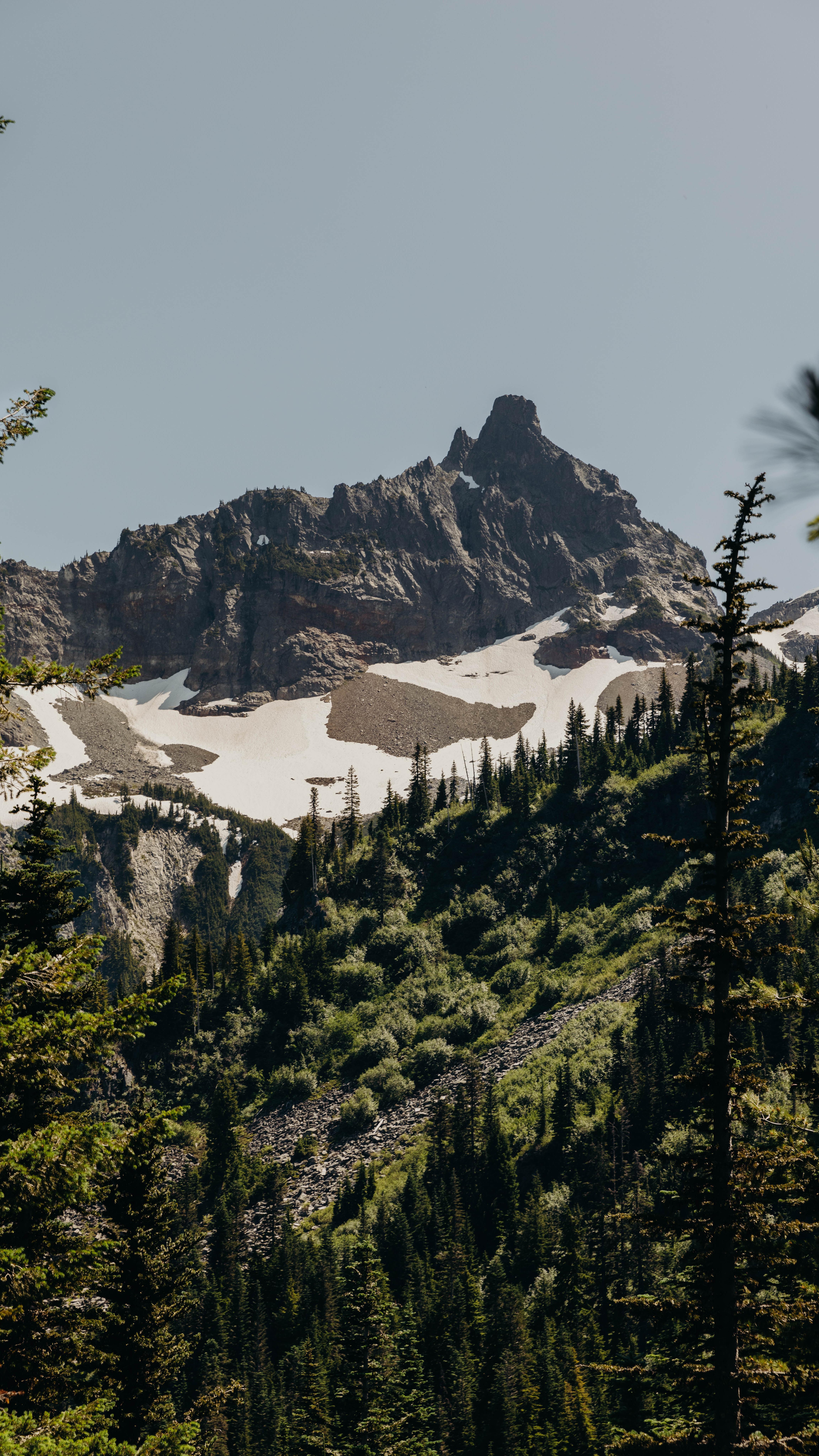 Take a breath and go wander.
•
•
•
📍Mount Rainer National Park