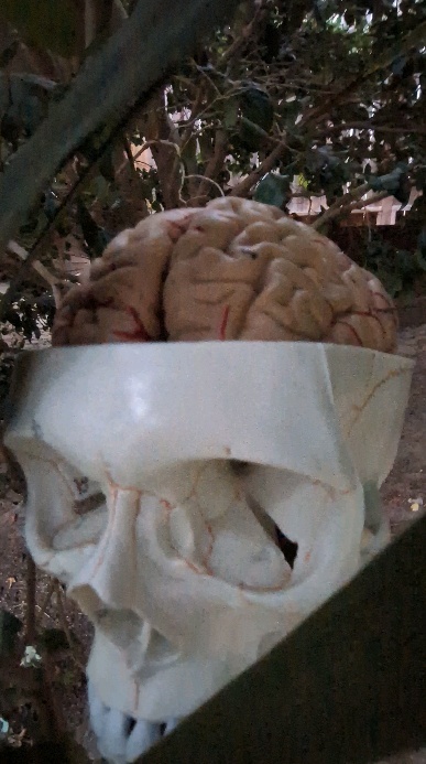 #motoroverflow #whatiheardwhenidied