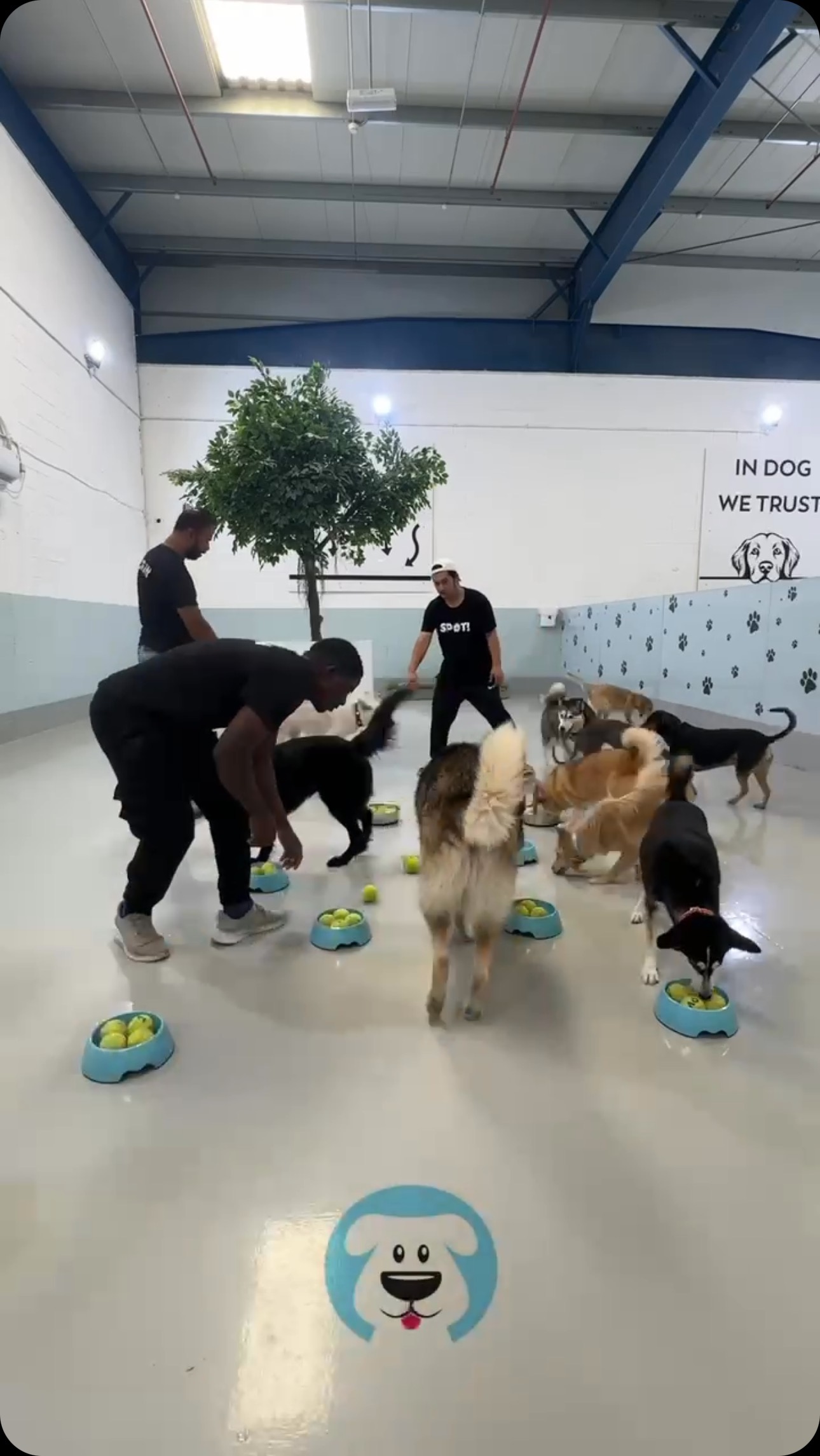 What makes a boutique daycare like SPOT! a very special place for your pup?
We don’t have water fountains or swimming pools (btw the chlorine is nasty stuff for animal skin), but we do have the most amazing and enriching care in all of Dubai!
Just some of the countless activities your pups get to experience in our care, everyday! 🩵
.
.
#dubaidogs #dogsindubai #dubai #mydubai #dogs #nyc #hellofromspot #boarding #grooming #welovedogs #dogsofdubai #dubaidog #doggieboarding #doggiedaycare #doggieboarding #dogdaycare #dogdays #uaedogs #dxbdogs #everydayawesome #adoptdontshop #pethealth #petnutrition #happypup #dog