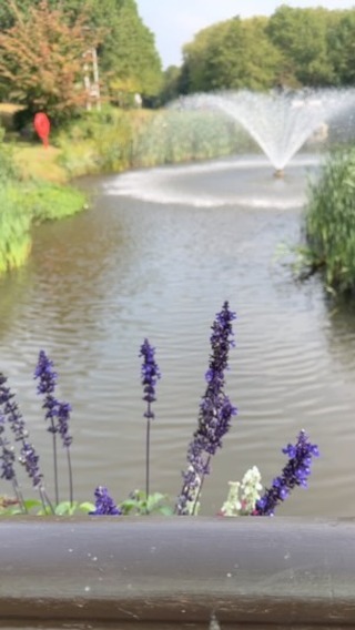 A huge thank you to 💎 @jewelleryvaluersassociation for another incredible conference. As usual I didn’t take enough photos. So many incredibly knowledgeable speakers and guests and workshops. Flawless organisation from start to finish. It was amazing to have this time again with all of our members this year. My mind is 🐝 buzzing with all the the amazing learning we have done these few days. A huge congratulations to @clare_blatherwick for THE VALUER OF THE YEAR AWARD🏆 So proud! And also the lifetime achievement award to Michael Inkpen @qlappraisalsoftware. Thank you amazing @shirley_mitchell_fga word cannot express what I feel 🩷 It was lovely to meet you @helenmolesworth your presentation was a feast for our eyes! Looking forward to reading your book. I really can’t wait for the next conference… but for now I need some rest!!!