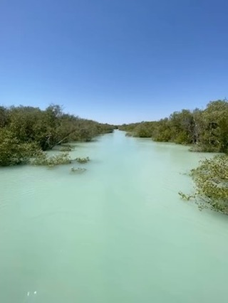 Teaser! 😊
PEAC Lab have been working on Yawuru Nagula Buru (Saltwater country of the Yawuru people) on an exciting new collaborative project this week. The 9.3m high tide allowed brief access into the beautiful creeks and mangrove systems.
Sound on for mangrove music 🍃🍃🍃
