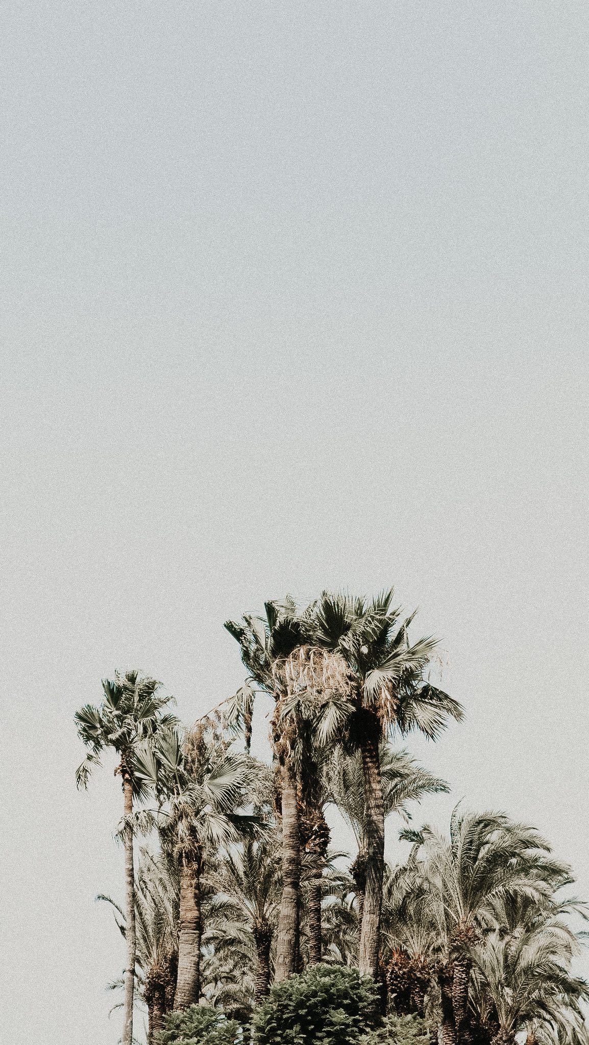 Kom med Milas og jeg på arbejde 📸🌴🌍✈️⛱️☀️
Jeg havde jo lovet jer, at vise jer lidt af hvad Milas og jeg lavede i Tyrkiet tidligere på sommeren 📸 Wauw en tur! ☀️🌴✈️⛱️ Det var de mest fantastiske omgivelser at skyde billeder i, vejret var på 35+ grader og humøret helt i top. Især Milas havde en kæmpe fest, og jeg er faktisk mega stolt af ham 💙
Tak for tilliden endnu en gang, og tak for turen til verdens bedste @nazarnordic 💙 Bedre luksusferie findes ikke 🔥👌🏻🌴⛱️☀️
Er jeg den eneste der får lyst til at rejse på ferie? 🙈🌍✈️🌴☀️
