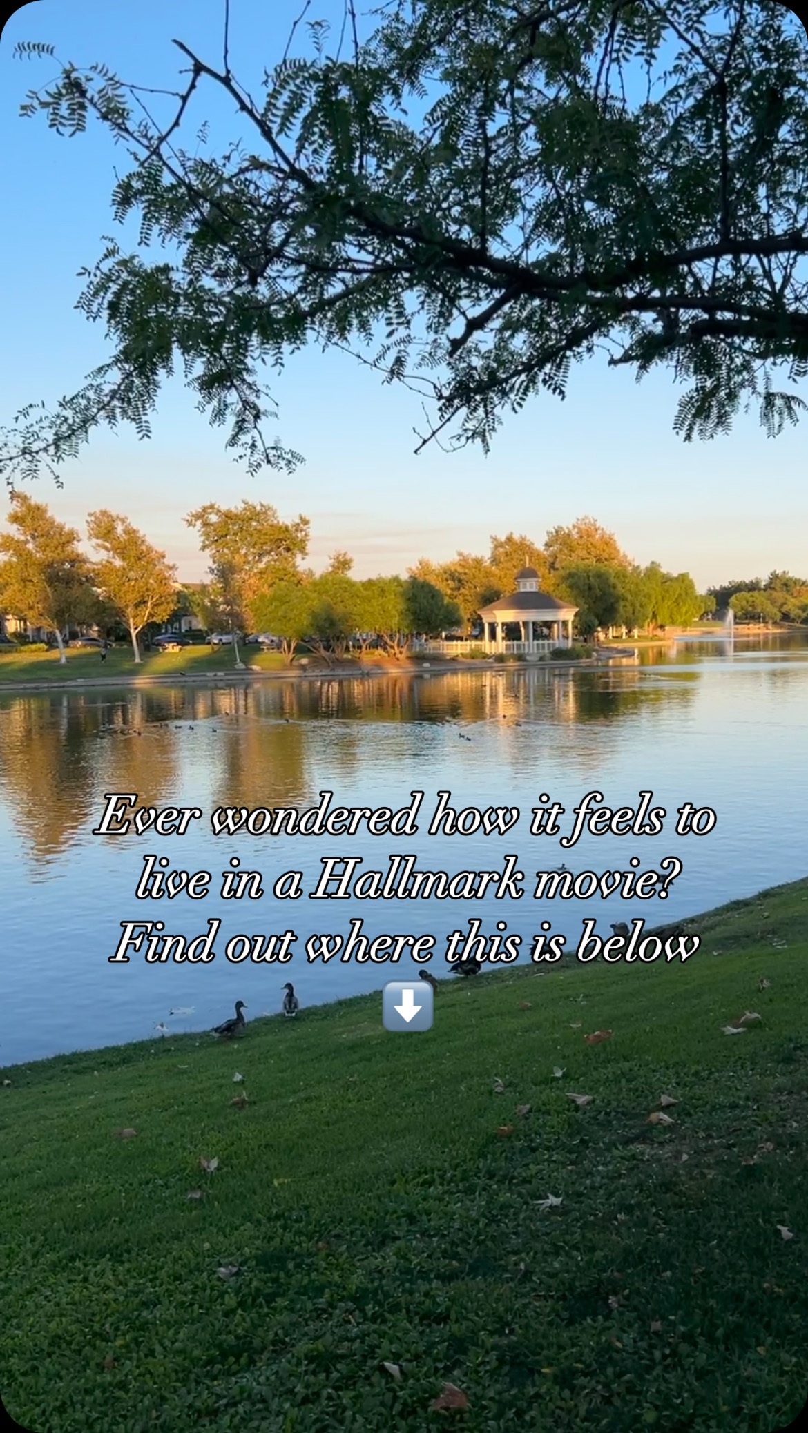 Nestled in the heart of **Temecula, CA**, Harveston is a picturesque community that brings storybook living to life! 🏡🌳 With its charming Harveston Lake, scenic walking trails, and beautifully designed homes, every day here feels magical. Families adore the top-rated schools, numerous parks, and vibrant community events that make Harveston one of the best neighborhoods in Temecula. ✨
Whether you’re enjoying a paddleboat ride on the lake, attending a neighborhood concert, or exploring the nearby Temecula wine country, there’s something for everyone in Harveston. If you’re considering moving to Temecula or searching for your dream home in Southern California, this community offers an unparalleled lifestyle.
Want to experience this enchanting place for yourself? Contact me for more info about this wonderful community!🌟
•
📲: 951.889.7358
@follow @catherinekimre for community tours, home tours, local highlights, and real estate tips 🎥
Catherine Kim | California Real Estate Agent
California Real Estate license #02035547
Brokered by eXp Realty
#HarvestonTemecula #TemeculaCA #HarvestonLake #BestNeighborhoodsInTemecula #LivingInHarveston #TemeculaRealEstate #SouthernCaliforniaLiving #DreamHome #FamilyFriendlyCommunity #MovingToTemecula #TemeculaHomes #HarvestonCommunity #temecularealtor