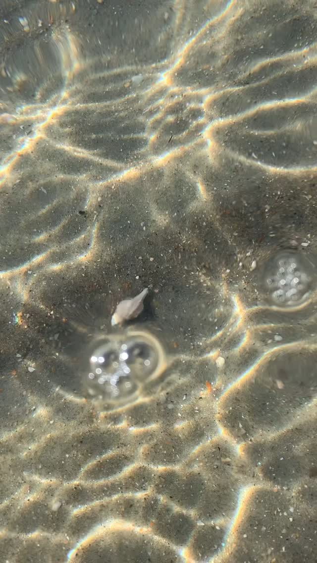 🌿 Niki Paige’s Message of the Week: Begin with what is.
If you’re feeling the urge to do more, be more, or figure it all out, take a breath. Spirit gently whispers:
✨ “Start where your feet are.” ✨
There’s no need to force a breakthrough today. Instead, soften. Come home to the here and now.
Begin with what is already present:
• The breath in your body
• The truth stirring in your heart
• The quiet beauty surrounding you—even if it’s subtle
🌙 Today’s Invitations:
1. Tend to one simple thing with sacred attention.
Make tea. Clear a corner. Write that note. Go for a walk. Really explore. Do it slowly. Reverently. Let it be enough.
2. Ask yourself:
“What am I pretending not to know today?”
No pressure to fix or solve—just listen to your quiet knowing.
3. Evening Ritual: Ground + Light
• Sit on the earth (or visualize roots anchoring you deep)
• Say aloud: “I am safe to be here. I trust what is unfolding.”
• Light a candle. Thank the version of you who showed up today.
⸻
You are not behind.
You are not broken.
You are exactly where the next door opens.
#StartWhereYouAre #GroundedHealing #SacredPsychology #NervousSystemWhispers #MindfulLiving #SelfCompassion #OracleWisdom #TherapistThoughts