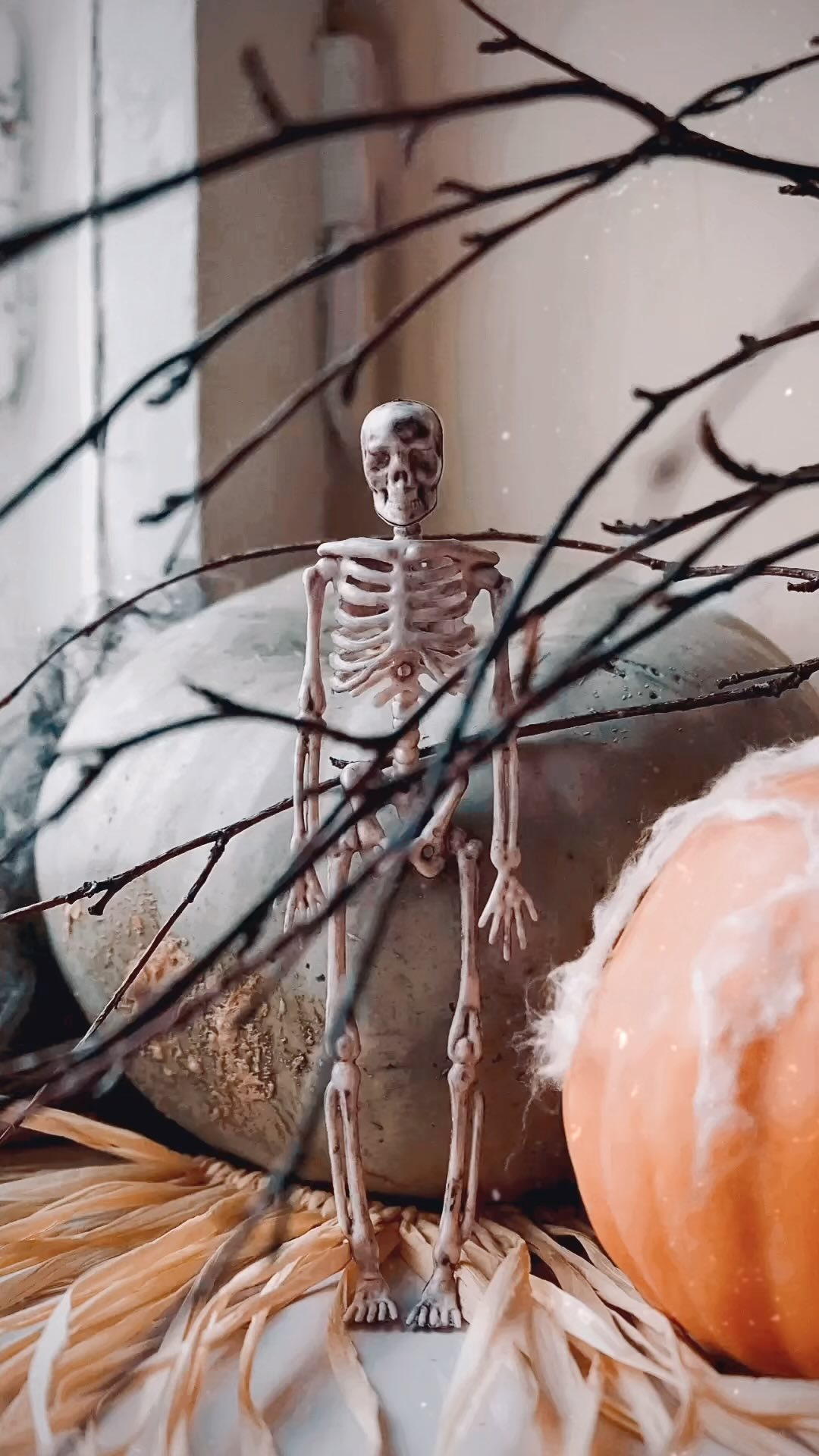 Boo💀
.
.
.
.
.
.
.
.
.
.
.
.
.
#happyhalloween #halloween #trickortreat #fall #autumn #halloweendecor #october #blog #decor #diy #diyhomedecor #blogger #decoration #autumnvibes #aesthetic #bloggers #catmom #stayhome #falldecor #diyprojects #stayathome #diycrafts #vintage #fyp #homedecor #explore #explorepage #diningroom #diningroomdecor