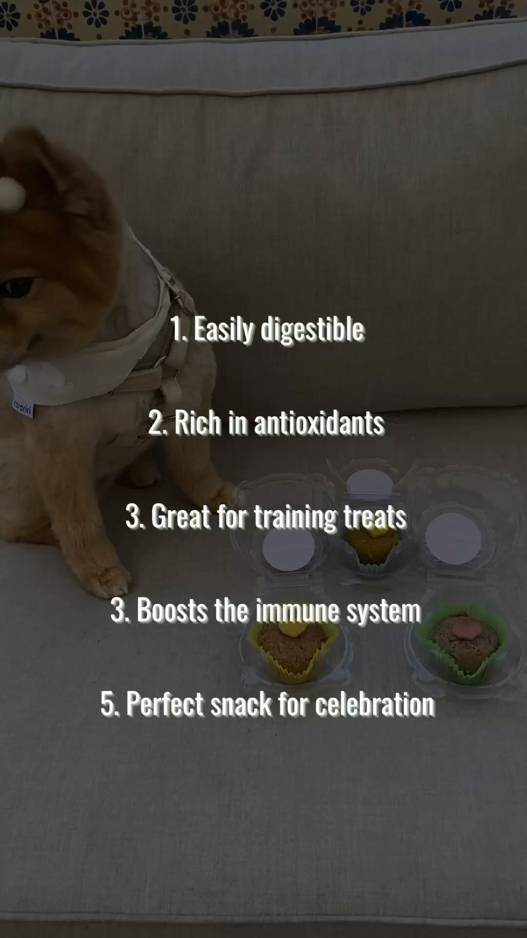 Treat your dog to our apple pupcake! ๐ง Packed with antioxidants, immune-boosting ingredients, and easily digestible nutrients. They are perfect for a healthy balance diet ๐คฉ๐
Find out more on Doganic.com